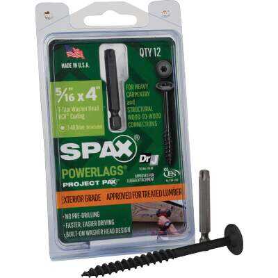 Spax PowerLags 5/16 In. x 4 In. Washer Head Exterior Structure Screw (12 Ct.)